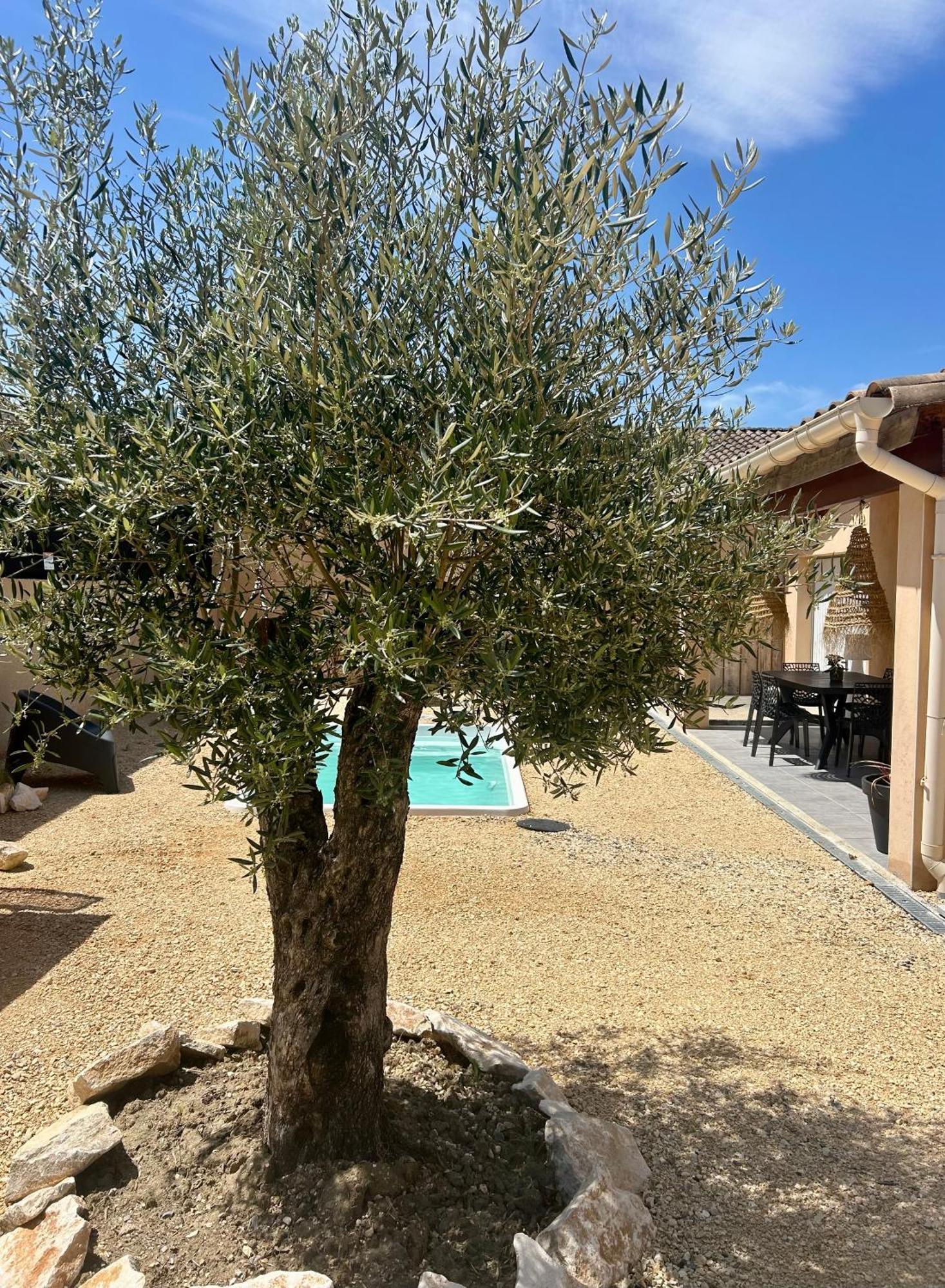 Maison Piscine & Spa Vallon Pont D'Arc Luaran gambar